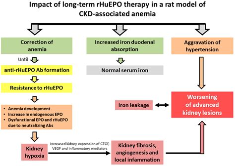 The use of erythropoietin in the treatment of post.